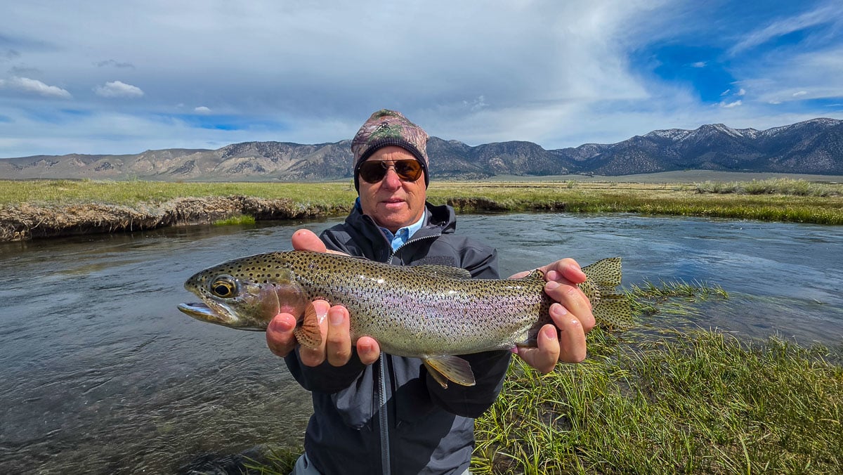 A fly fisherman holding a large rainbow trout on the Upper Owens River near Mammoth Lakes, CA