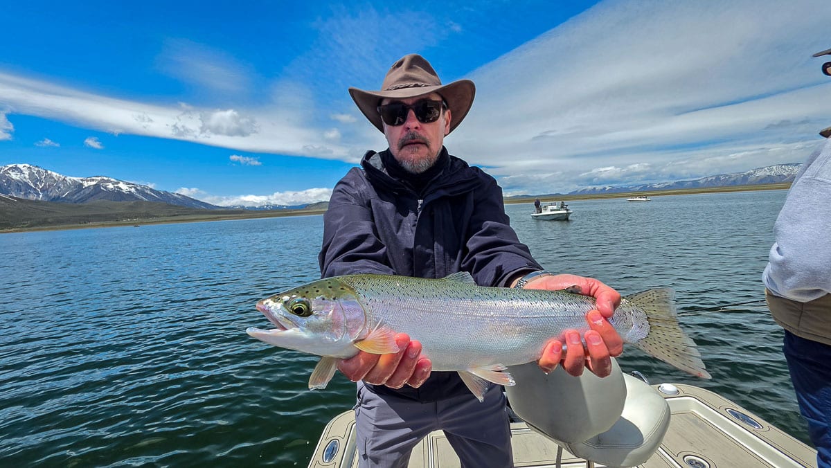 A fly fisherman holding a large rainbow trout on the Upper Owens River near Mammoth Lakes, CA