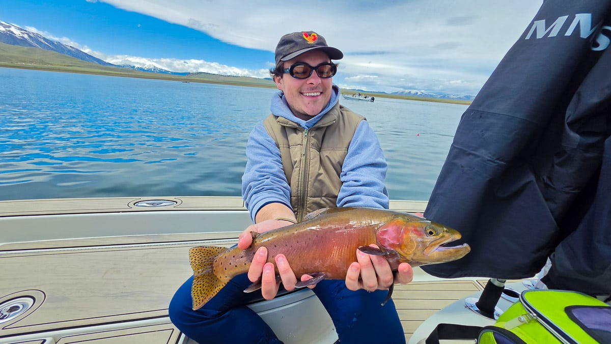 A fly fisherman holding a large rainbow trout on the Upper Owens River near Mammoth Lakes, CA
