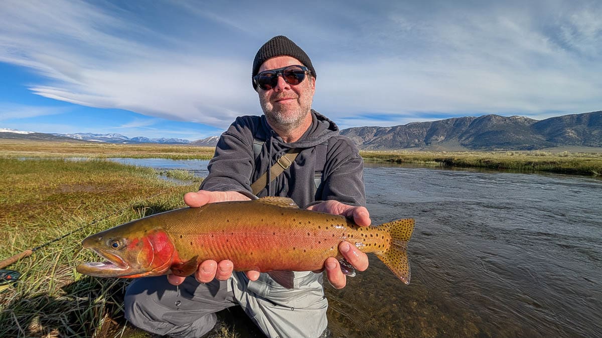 A fly fisherman holding a large rainbow trout on the Upper Owens River near Mammoth Lakes, CA