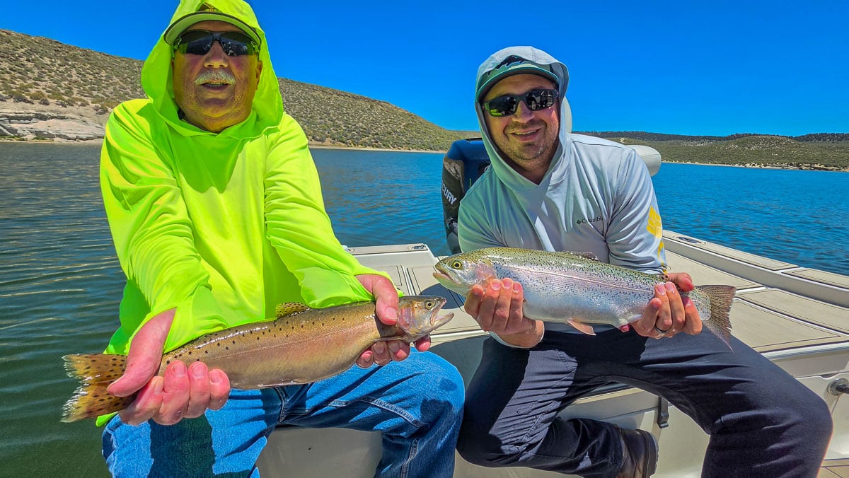 A fly fisherman holding a large rainbow trout on the Upper Owens River near Mammoth Lakes, CA