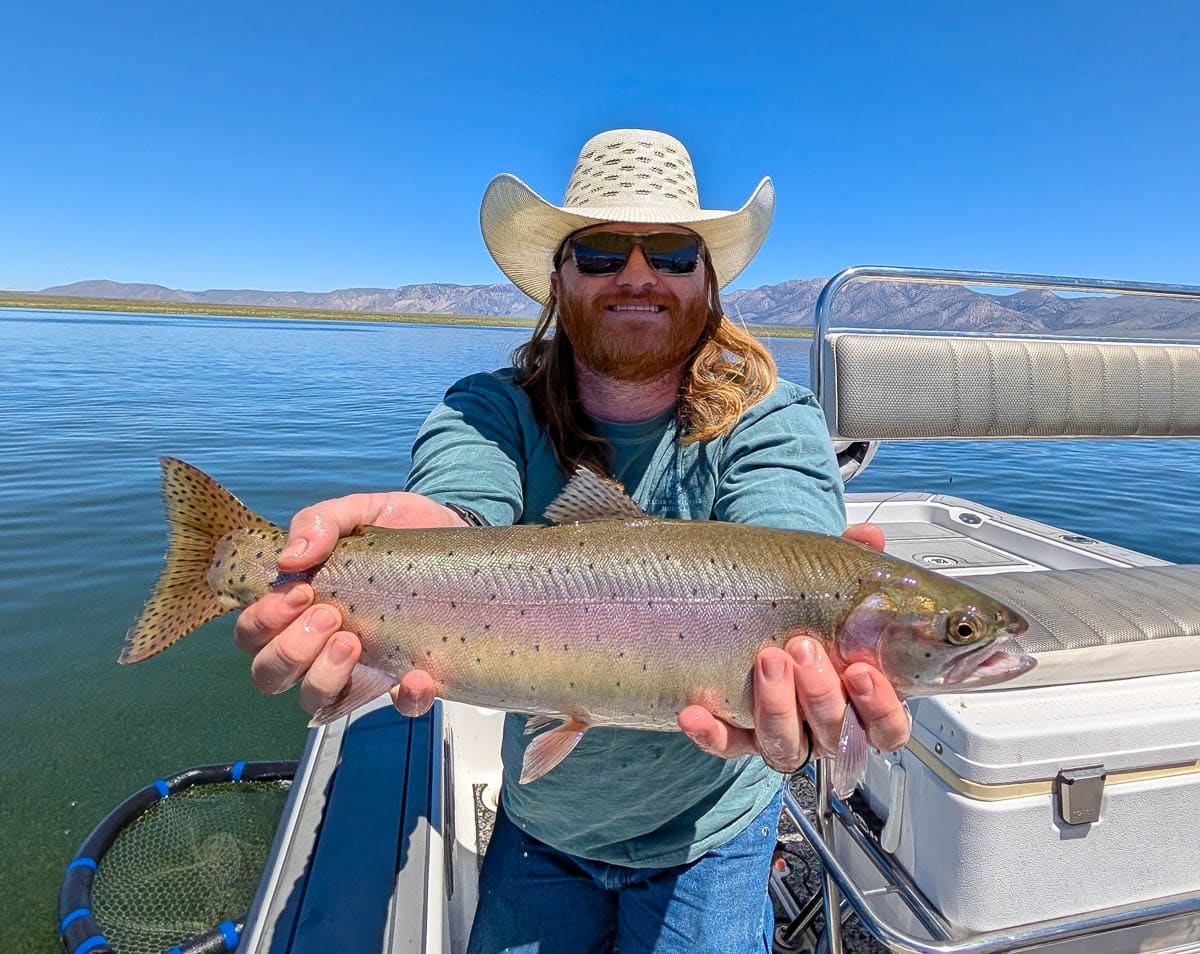 A fly fisherman holding a large rainbow trout on the Upper Owens River near Mammoth Lakes, CA