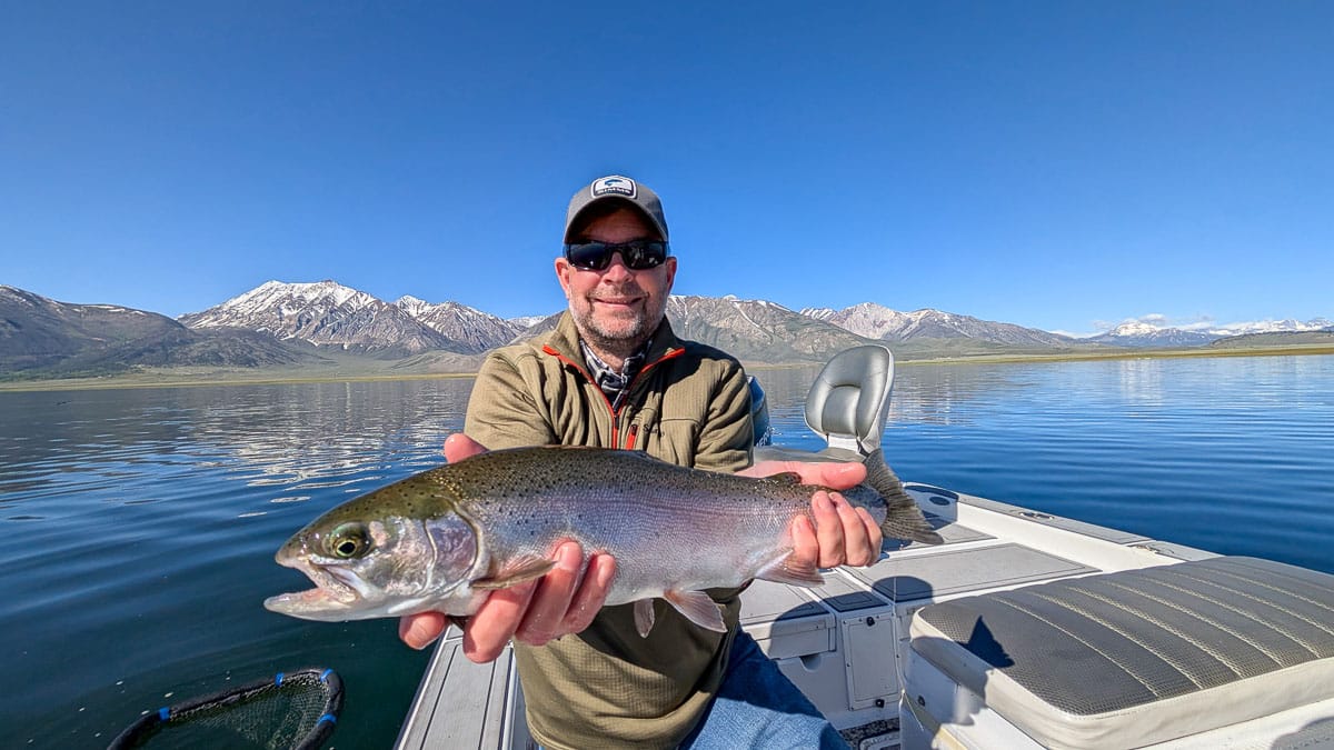 A fly fisherman holding a large brown trout on the Lower Owens River near Bishop, CA