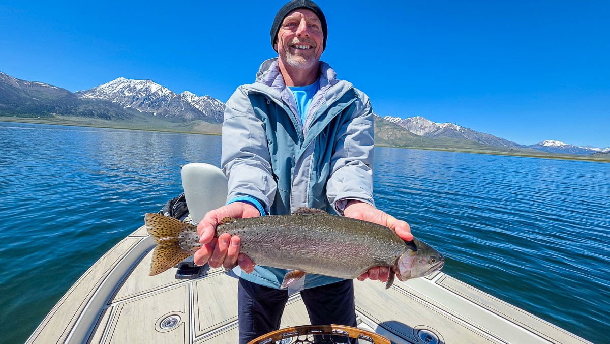 A fly fisherman holding a large rainbow trout on the Upper Owens River near Mammoth Lakes, CA