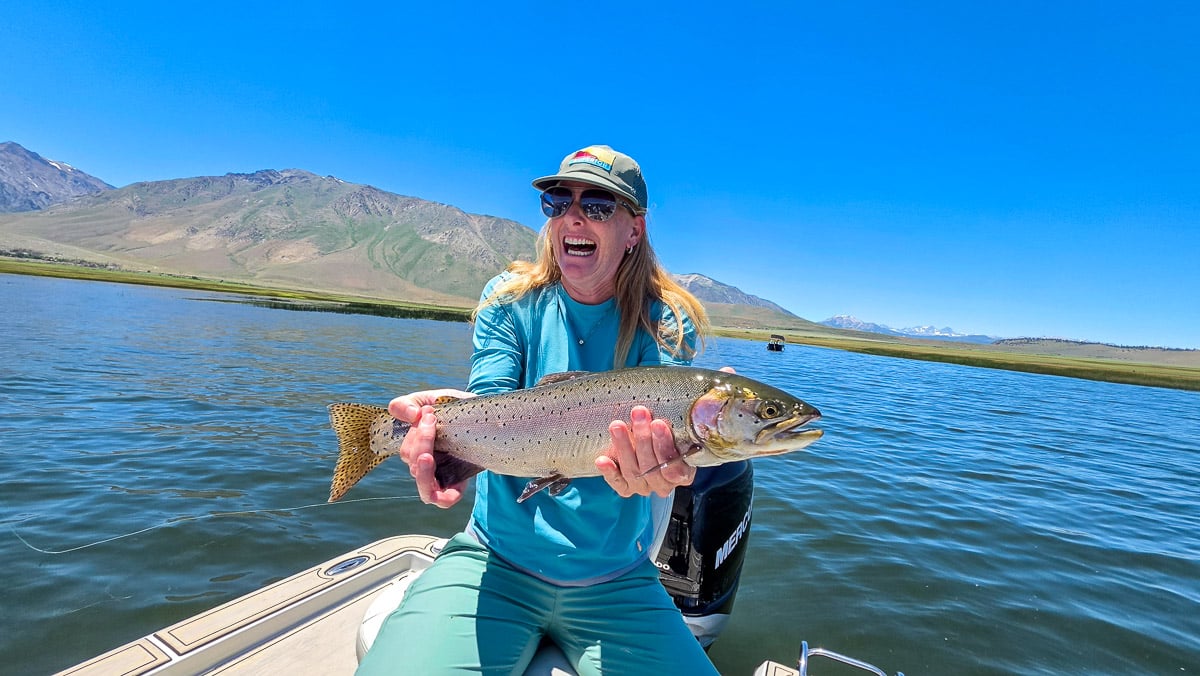 A fly fisherman holding a large rainbow trout on the Upper Owens River near Mammoth Lakes, CA