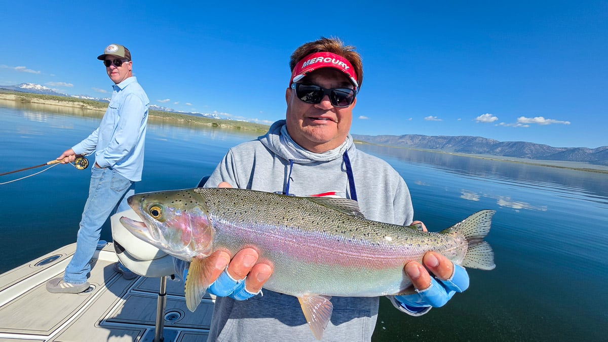 A fly fisherman holding a large rainbow trout on the Upper Owens River near Mammoth Lakes, CA