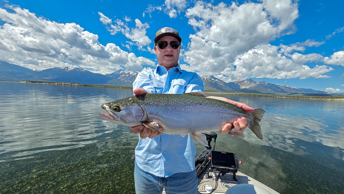 A fly fisherman holding a large rainbow trout on the Upper Owens River near Mammoth Lakes, CA