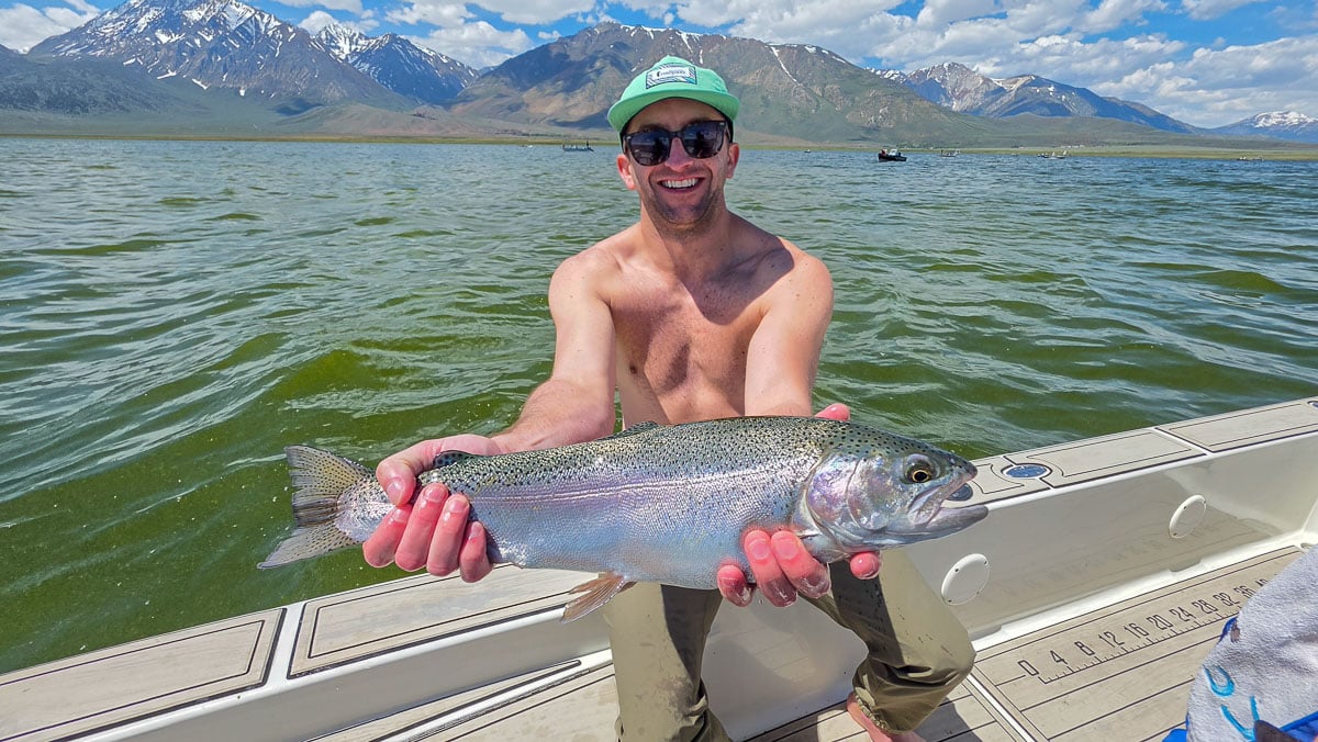 A fly fisherman holding a large rainbow trout on the Upper Owens River near Mammoth Lakes, CA