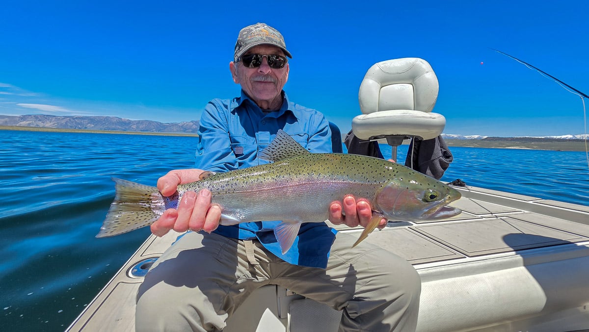 A fly fisherman holding a large rainbow trout on the Upper Owens River near Mammoth Lakes, CA