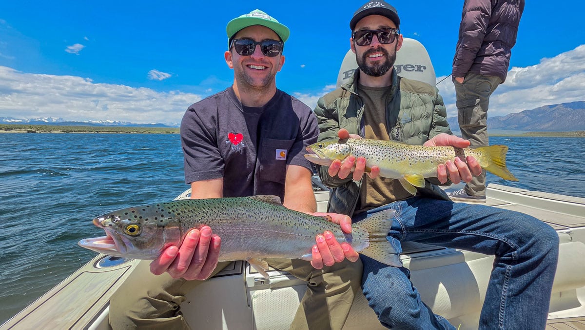 A fly fisherman holding a large rainbow trout on the Upper Owens River near Mammoth Lakes, CA