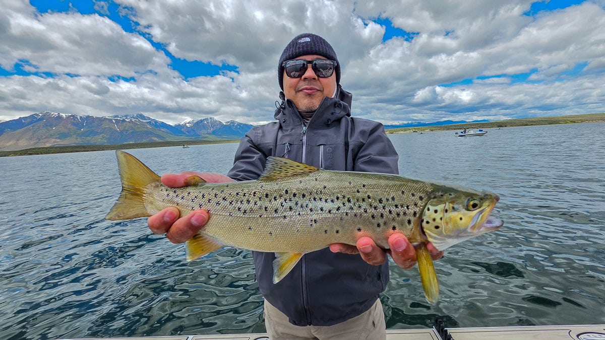 A fly fisherman holding a rainbow trout on the Lower Owens River near Bishop, CA