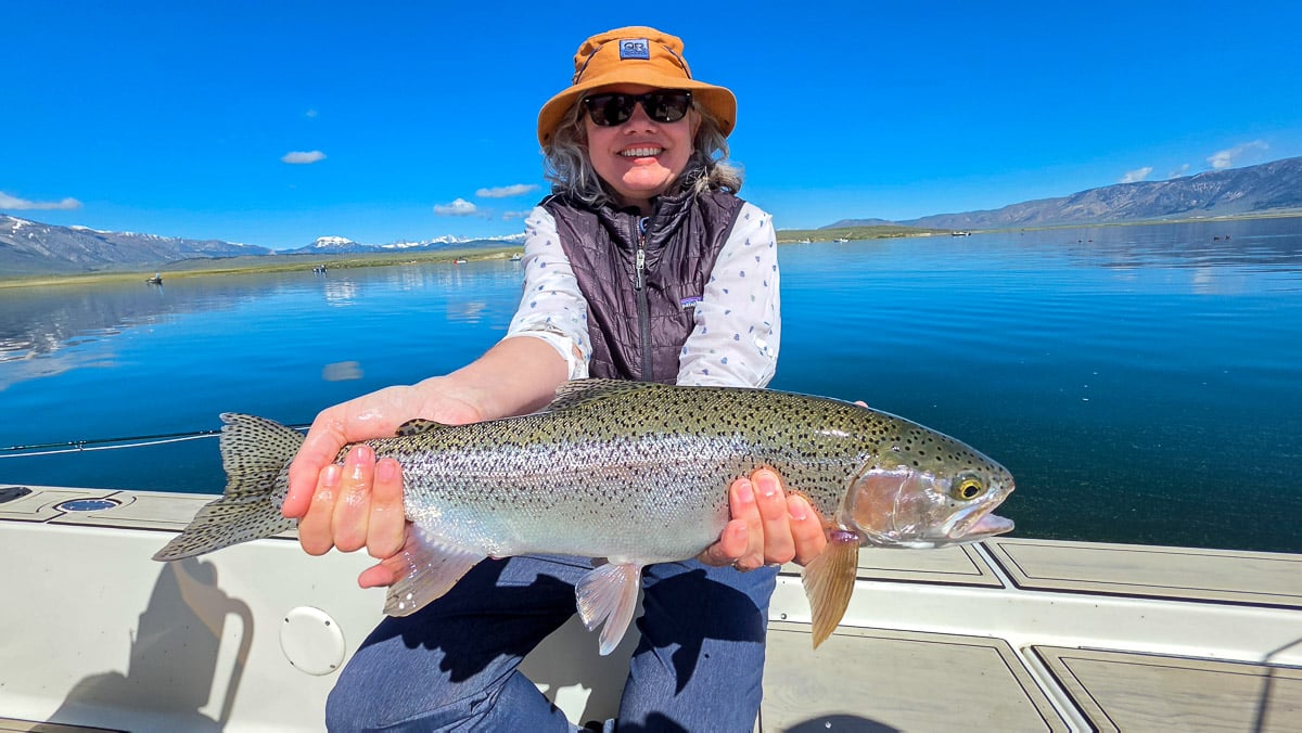 A fly fisherman holding a large brown trout on the Lower Owens River near Bishop, CA