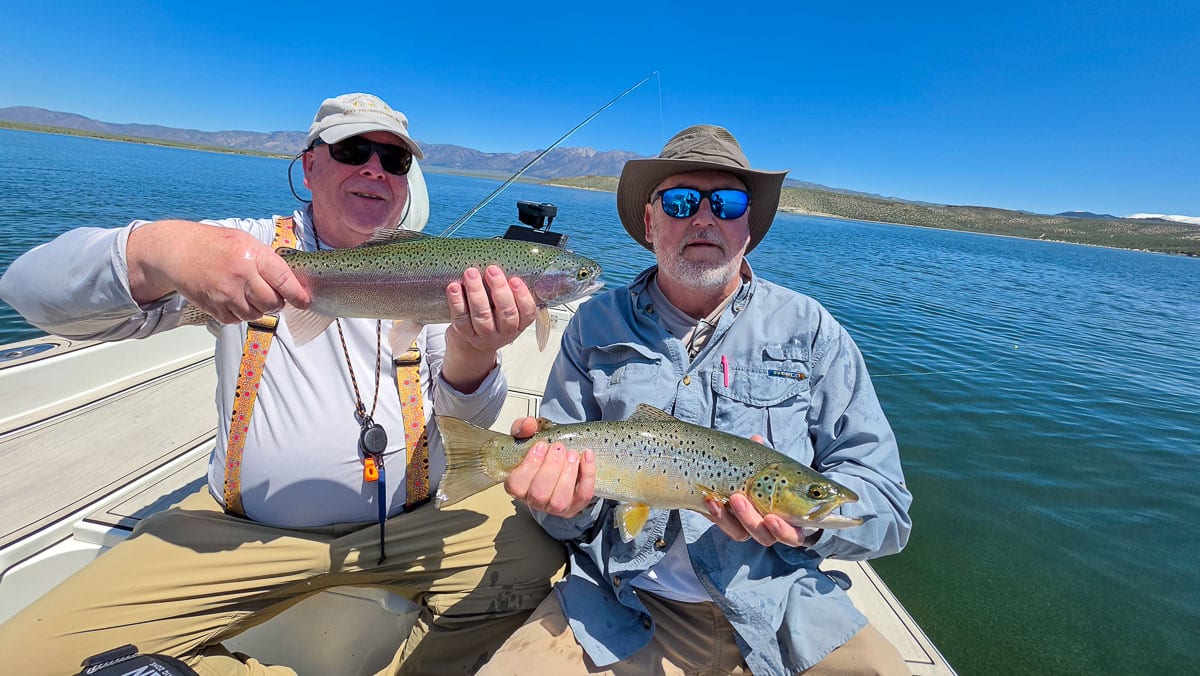 A fly fisherman holding a rainbow trout on the Lower Owens River near Bishop, CA