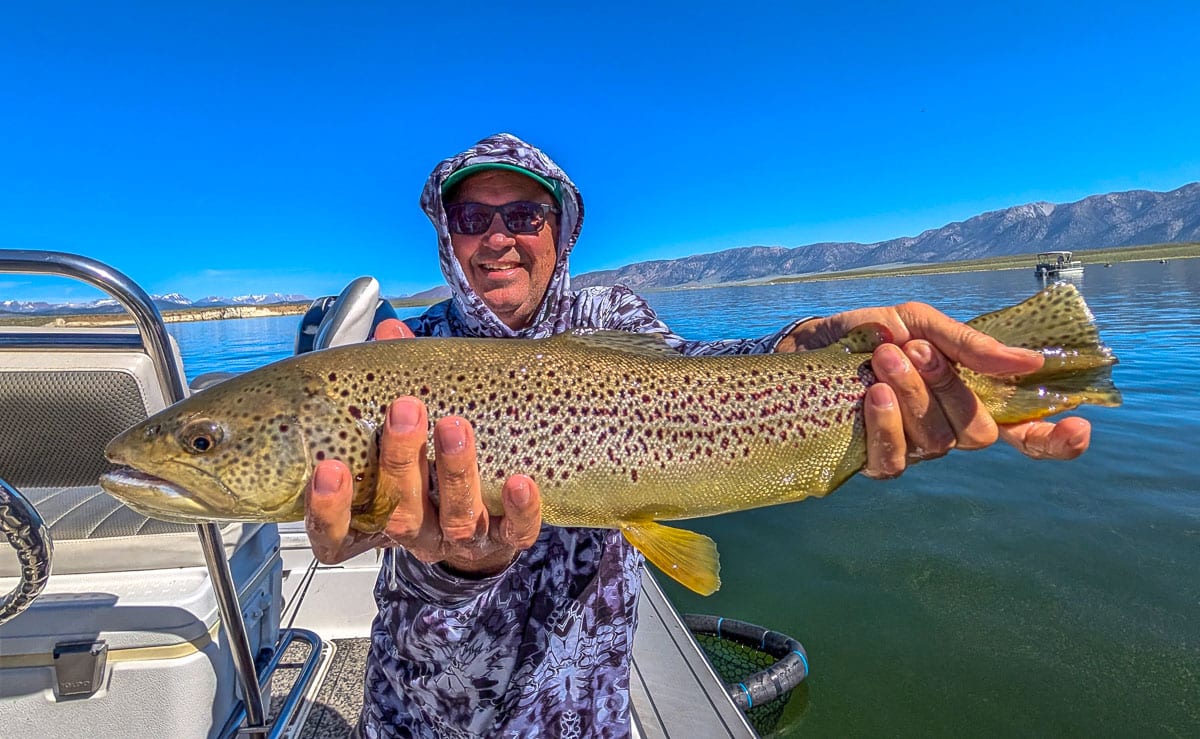 A fly fisherman holding a large rainbow trout on the Upper Owens River near Mammoth Lakes, CA