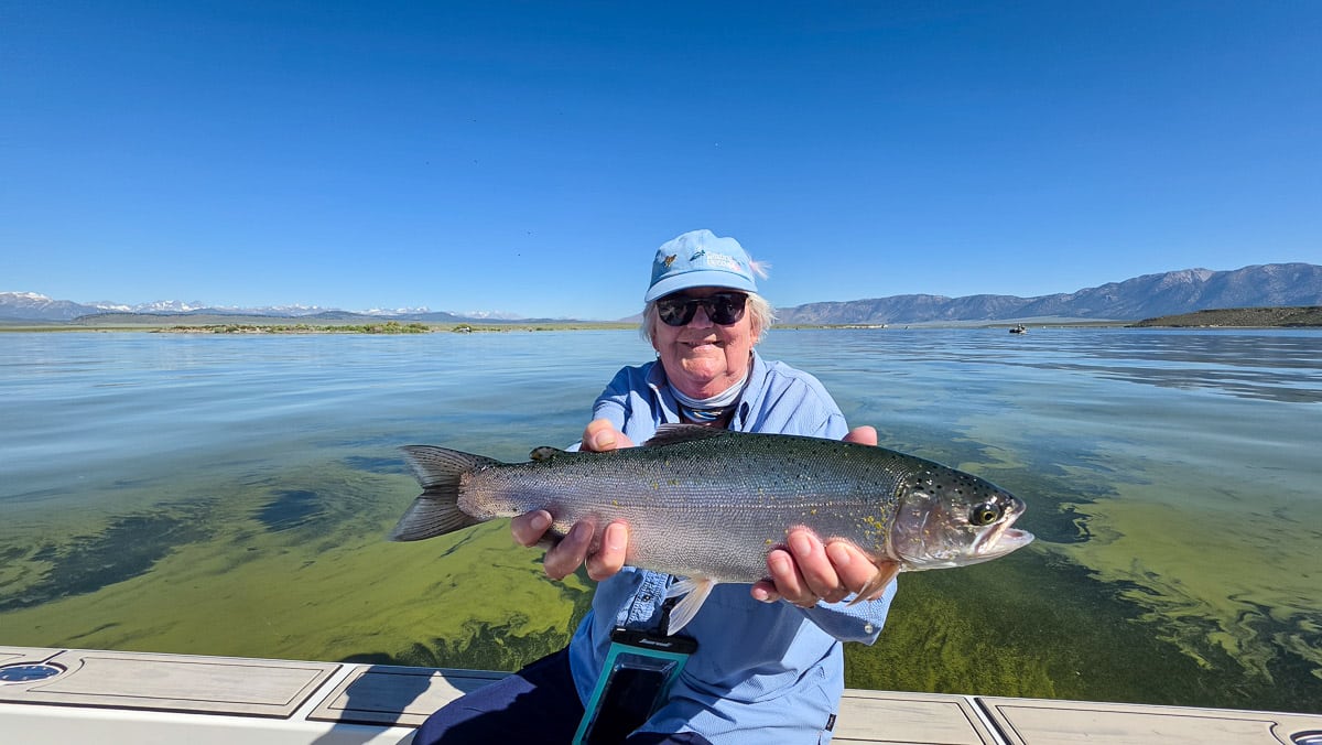 A fly fisherman holding a large rainbow trout on the Upper Owens River near Mammoth Lakes, CA