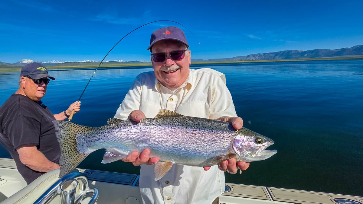 A fly fisherman holding a large rainbow trout on the Upper Owens River near Mammoth Lakes, CA