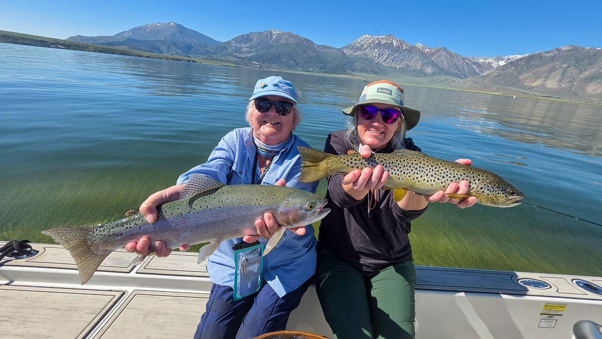 A fly fisherman holding a large rainbow trout on the Upper Owens River near Mammoth Lakes, CA