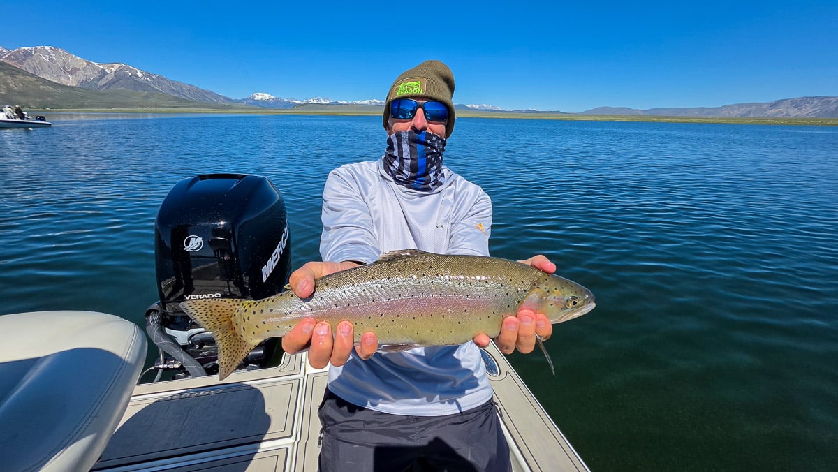 A fly fisherman holding a large rainbow trout on the Upper Owens River near Mammoth Lakes, CA