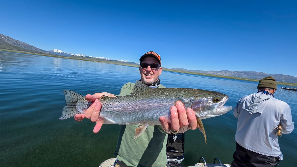 A fly fisherman holding a large rainbow trout on the Upper Owens River near Mammoth Lakes, CA