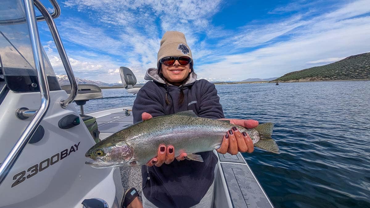A fly fisherman holding a large rainbow trout on the Upper Owens River near Mammoth Lakes, CA