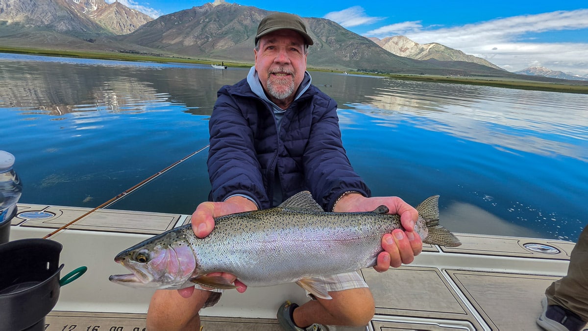 A fly fisherman holding a large rainbow trout on the Upper Owens River near Mammoth Lakes, CA