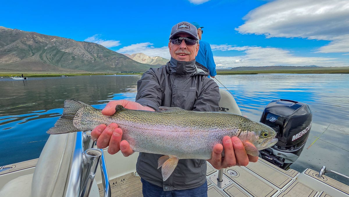 A fly fisherman holding a large rainbow trout on the Upper Owens River near Mammoth Lakes, CA