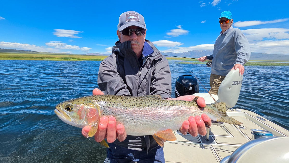 A fly fisherman holding a large rainbow trout on the Upper Owens River near Mammoth Lakes, CA
