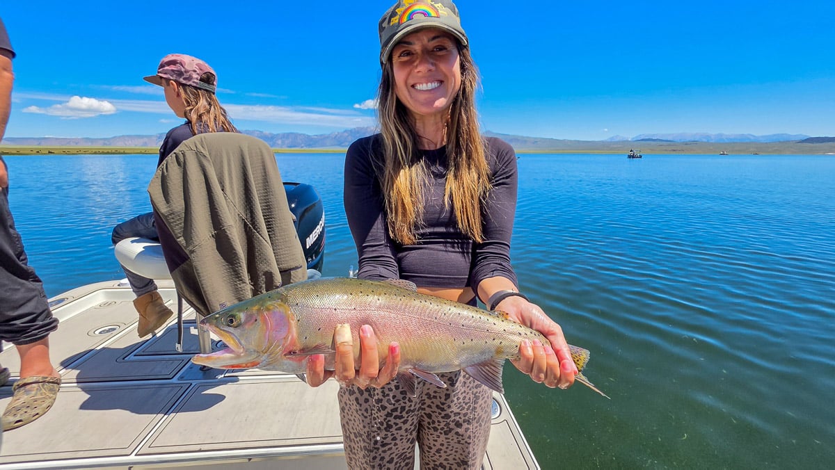 A fly fisherman holding a large rainbow trout on the Upper Owens River near Mammoth Lakes, CA