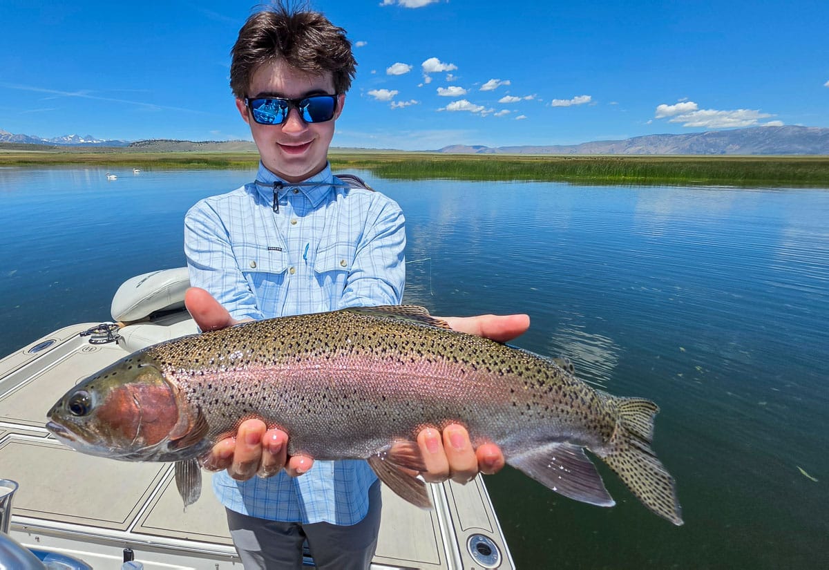 A fly fisherman holding a large rainbow trout on the Upper Owens River near Mammoth Lakes, CA