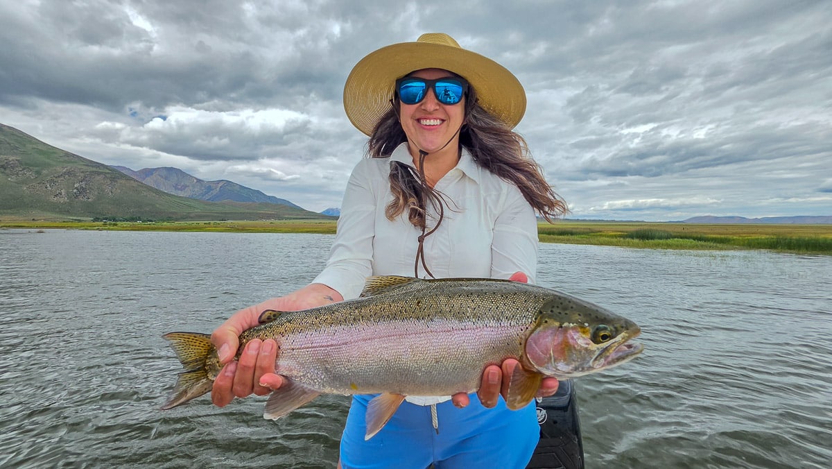 A fly fisherman holding a large rainbow trout on the Upper Owens River near Mammoth Lakes, CA