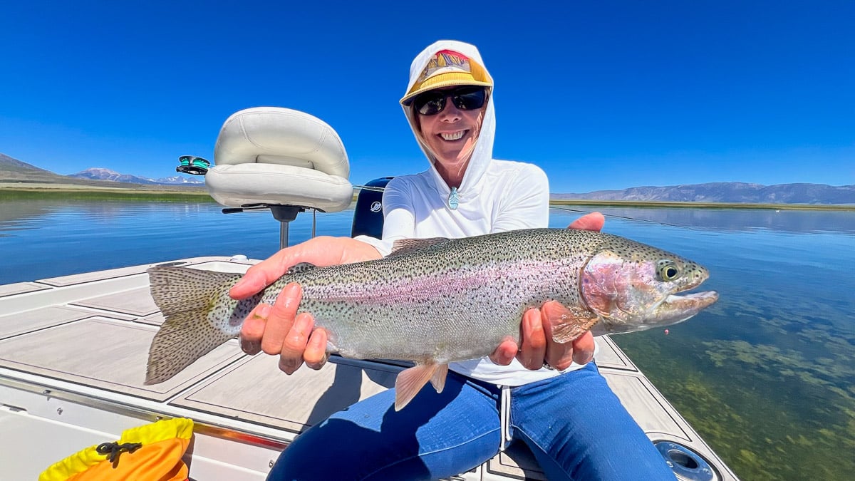 A fly fisherman holding a large rainbow trout on the Upper Owens River near Mammoth Lakes, CA