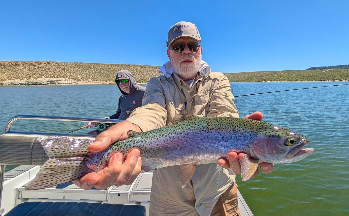 A fly fisherman holding a large rainbow trout on the Upper Owens River near Mammoth Lakes, CA