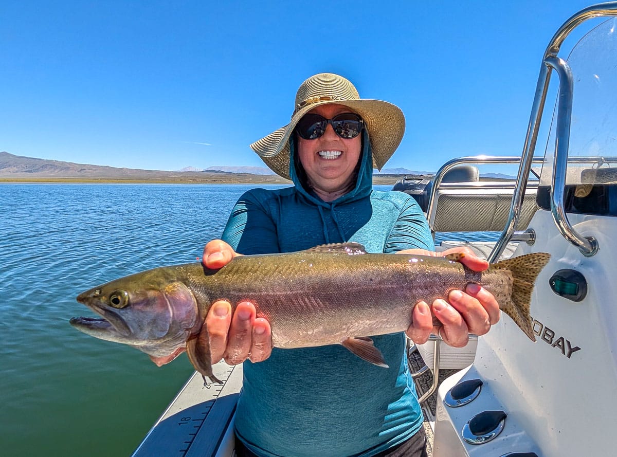A fly fisherman holding a large rainbow trout on the Upper Owens River near Mammoth Lakes, CA
