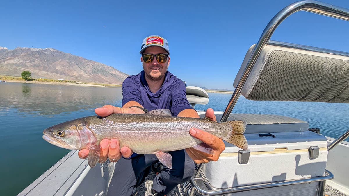 A fly fisherman holding a large rainbow trout on the Upper Owens River near Mammoth Lakes, CA