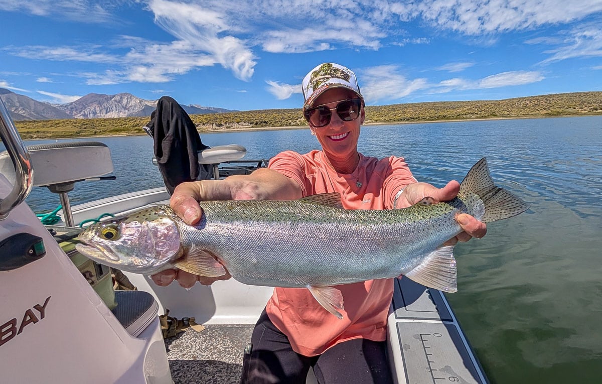 A fly fisherman holding a large rainbow trout on the Upper Owens River near Mammoth Lakes, CA