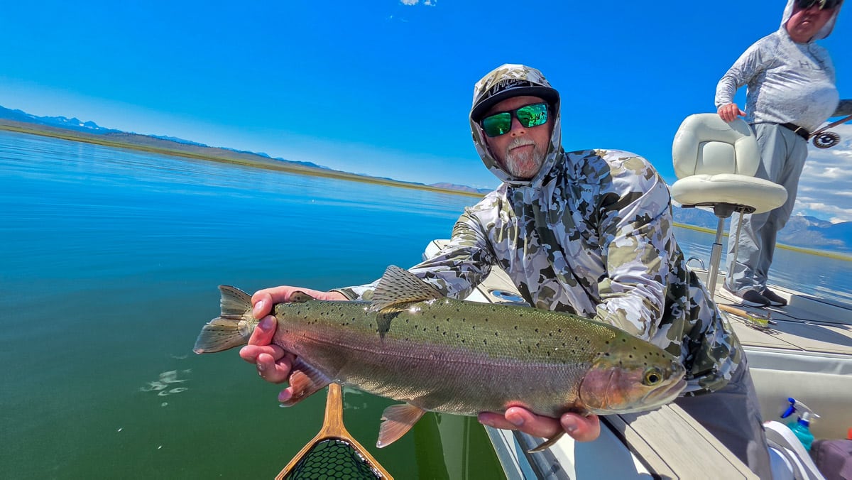 A fly fisherman holding a large rainbow trout on the Upper Owens River near Mammoth Lakes, CA