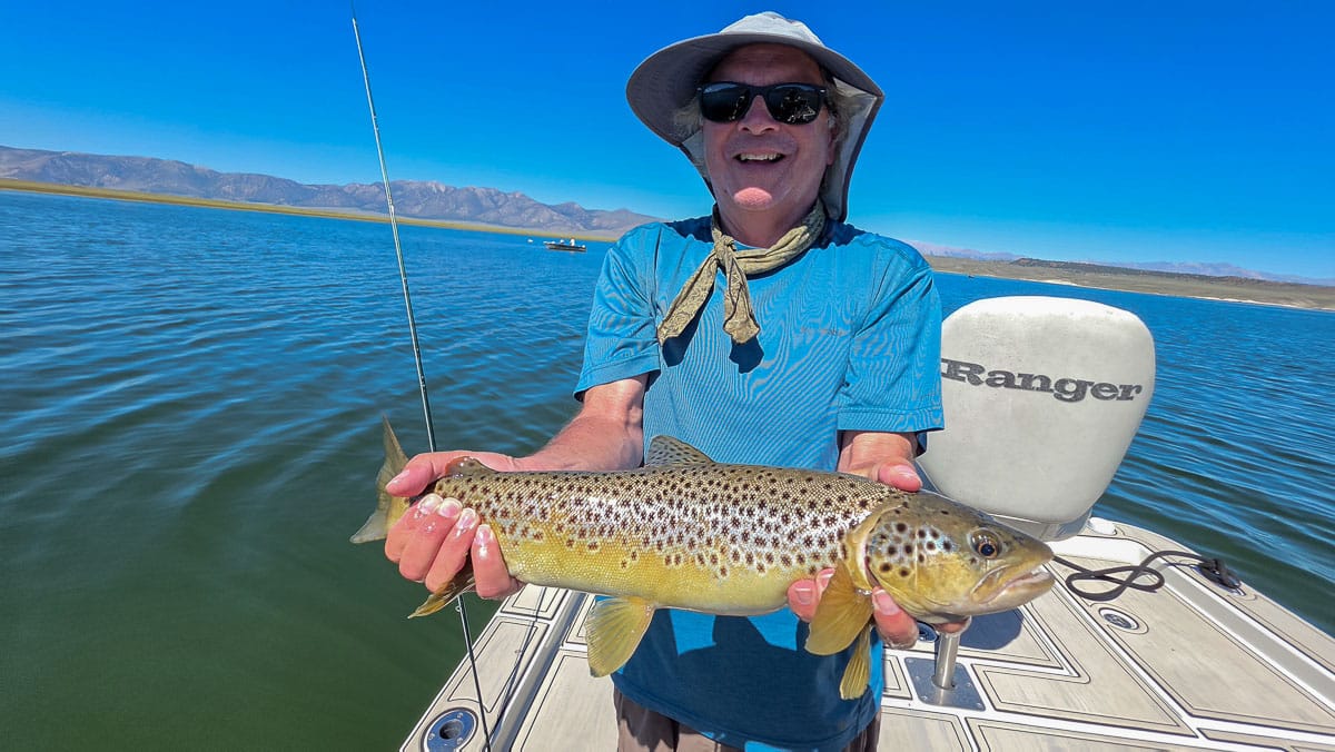 A fly fisherman holding a large rainbow trout on the Upper Owens River near Mammoth Lakes, CA