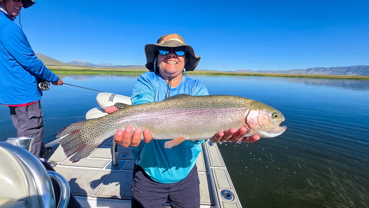 A fly fisherman holding a large rainbow trout on the Upper Owens River near Mammoth Lakes, CA