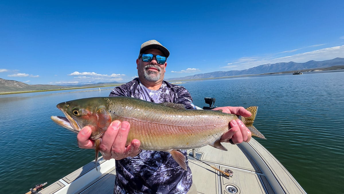 A fly fisherman holding a large rainbow trout on the Upper Owens River near Mammoth Lakes, CA