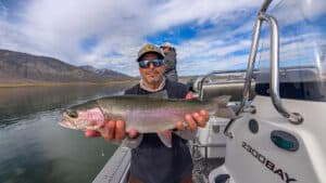 A fly fisherman holding a large rainbow trout in a boat on Crowley Lake near Mammoth Lakes, CA