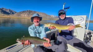 A pair of fly fisherman holding a large brown trout and rainbow trout in a boat on Crowley Lake near Mammoth Lakes, CA