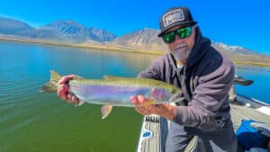 A fly fisherman holding a large rainbow trout in a boat on Crowley Lake near Mammoth Lakes, CA