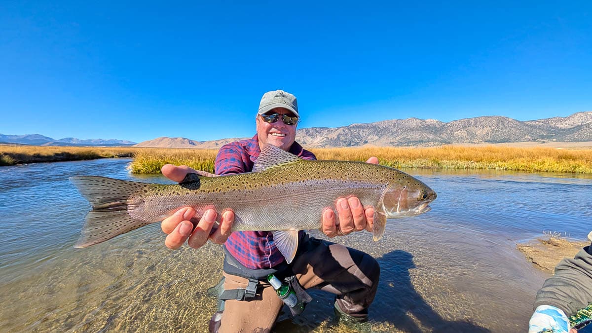 A fly fisherman holding a large rainbow trout in the Upper Owens River near Mammoth Lakes, CA