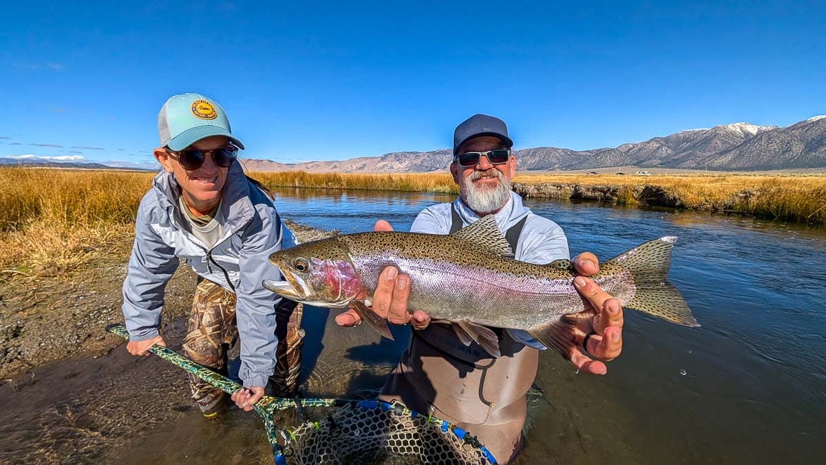A fly fisherman holding a large rainbow trout in the Upper Owens River near Mammoth Lakes, CA